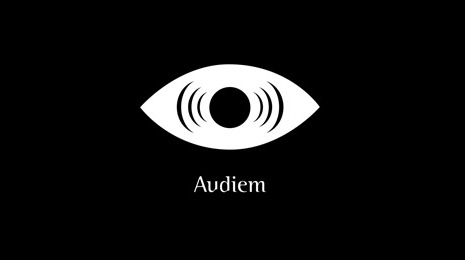 Audiem logo